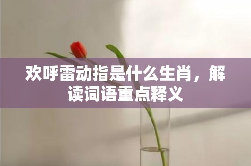 欢呼雷动指是什么生肖，解读词语重点释义