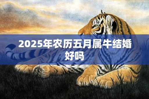 2025年农历五月属牛结婚好吗