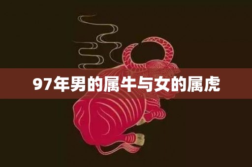 97年男的属牛与女的属虎