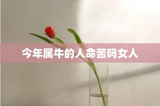 今年属牛的人命苦吗女人