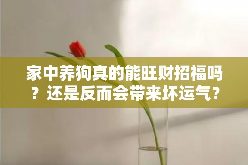 家中养狗真的能旺财招福吗？还是反而会带来坏运气？