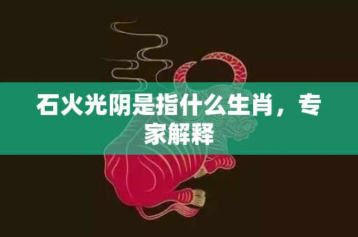 石火光阴是指什么生肖，专家解释