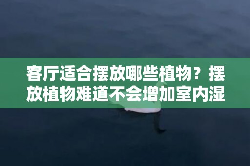 客厅适合摆放哪些植物？摆放植物难道不会增加室内湿度吗？