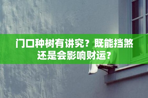 门口种树有讲究？既能挡煞还是会影响财运？