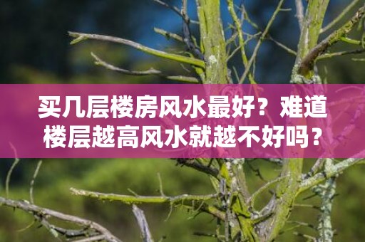 买几层楼房风水最好？难道楼层越高风水就越不好吗？