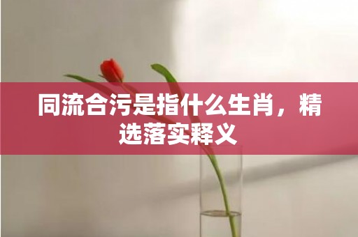 同流合污是指什么生肖，精选落实释义