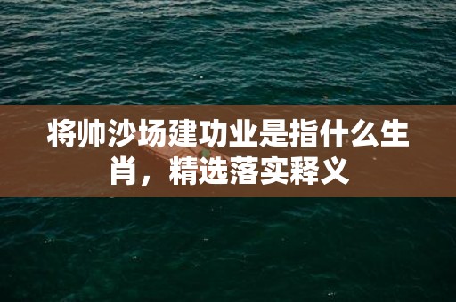 将帅沙场建功业是指什么生肖，精选落实释义