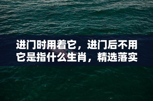 进门时用着它，进门后不用它是指什么生肖，精选落实释义