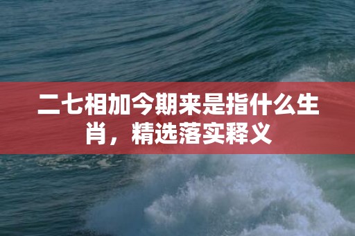 二七相加今期来是指什么生肖，精选落实释义