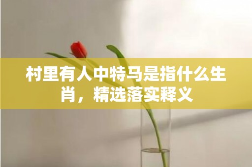 村里有人中特马是指什么生肖，精选落实释义