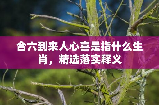 合六到来人心喜是指什么生肖，精选落实释义