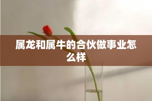 属龙和属牛的合伙做事业怎么样