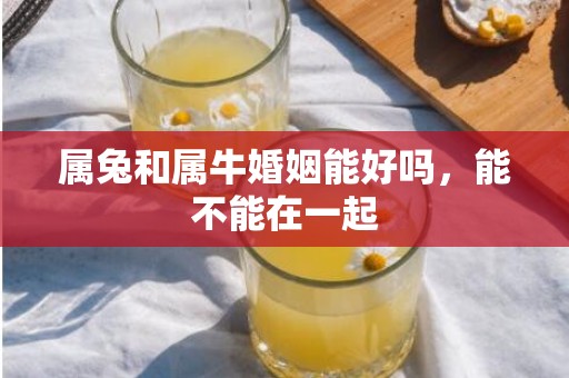 属兔和属牛婚姻能好吗，能不能在一起