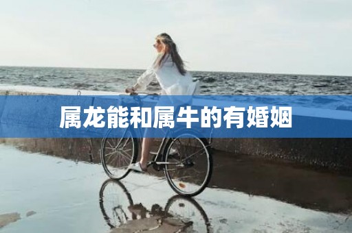 属龙能和属牛的有婚姻