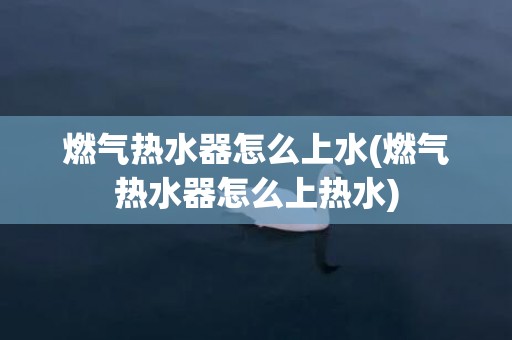 燃气热水器怎么上水(燃气热水器怎么上热水)