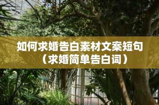 如何求婚告白素材文案短句（求婚简单告白词）