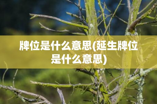 牌位是什么意思(延生牌位是什么意思)