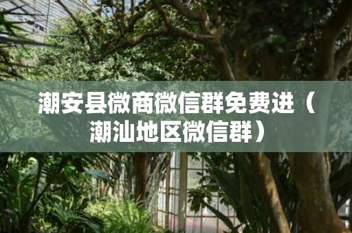 潮安县微商微信群免费进（潮汕地区微信群）