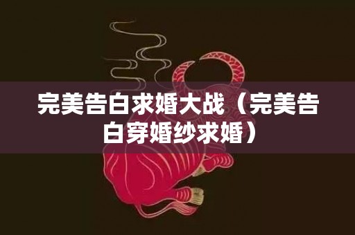 完美告白求婚大战（完美告白穿婚纱求婚）