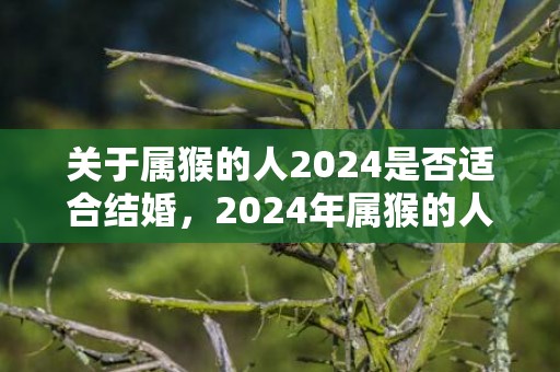 关于属猴的人2024是否适合结婚，2024年属猴的人适合结婚吗