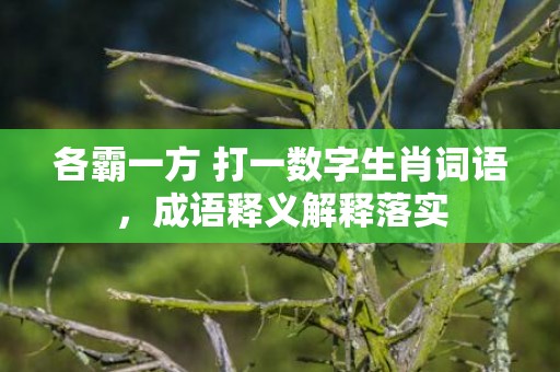 各霸一方 打一数字生肖词语，成语释义解释落实插图