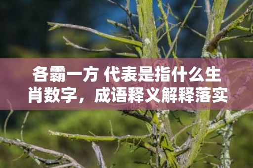 各霸一方 代表是指什么生肖数字，成语释义解释落实插图