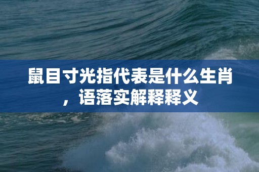 鼠目寸光指代表是什么生肖，语落实解释释义