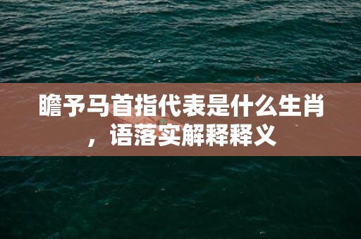 瞻予马首指代表是什么生肖，语落实解释释义