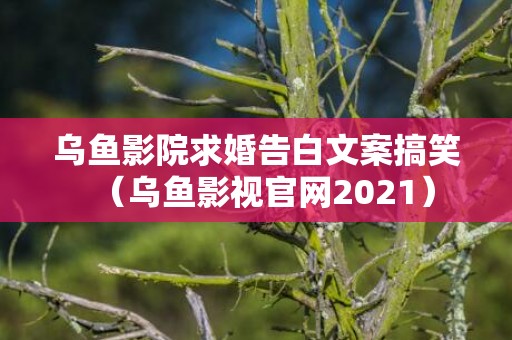 乌鱼影院求婚告白文案搞笑（乌鱼影视官网2021）