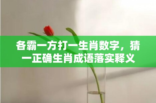 各霸一方打一生肖数字，猜一正确生肖成语落实释义