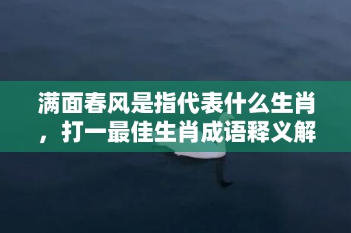 满面春风是指代表什么生肖，打一最佳生肖成语释义解释落实