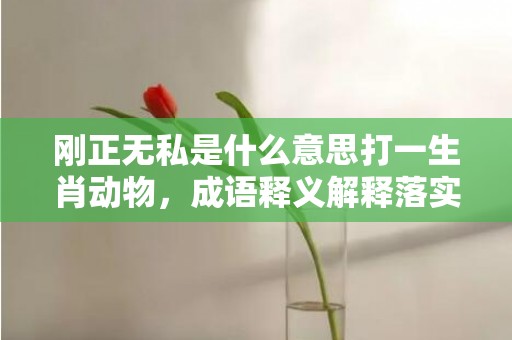 刚正无私是什么意思打一生肖动物，成语释义解释落实