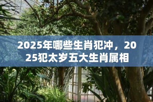 2025年哪些生肖犯冲，2025犯太岁五大生肖属相