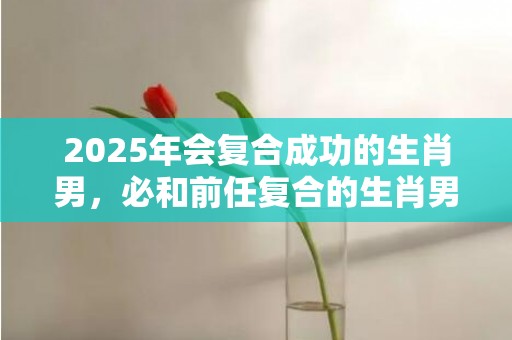 2025年会复合成功的生肖男，必和前任复合的生肖男