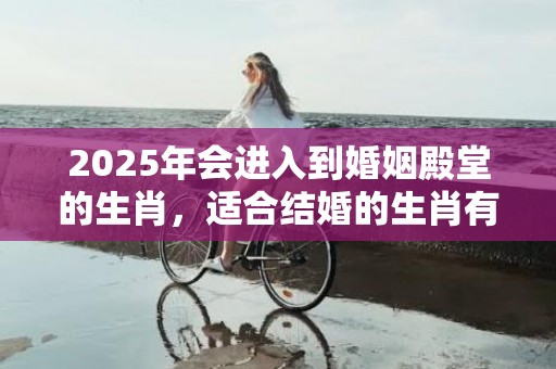 2025年会进入到婚姻殿堂的生肖，适合结婚的生肖有哪些