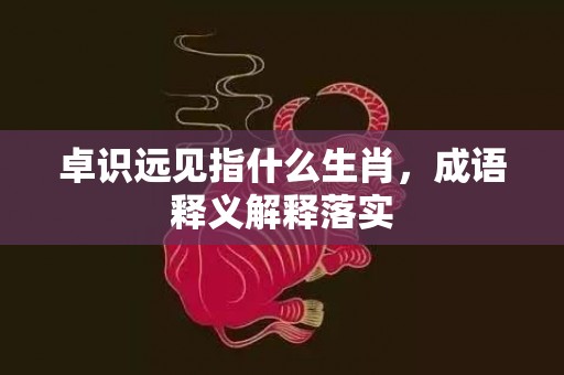 卓识远见指什么生肖，成语释义解释落实