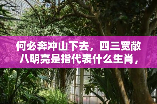 何必奔冲山下去，四三宽敞八明亮是指代表什么生肖，打一生肖成语释义解释落实