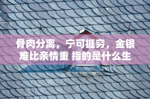 骨肉分离，宁可捱穷，金银难比亲情重 指的是什么生肖，猜一生肖数字成语释义解释落实