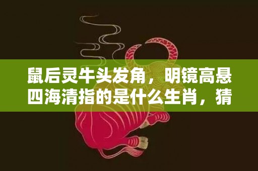 鼠后灵牛头发角，明镜高悬四海清指的是什么生肖，猜打一生肖数字成语释义解释落实