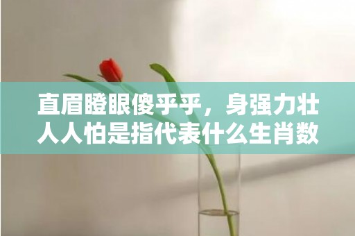 直眉瞪眼傻乎乎，身强力壮人人怕是指代表什么生肖数字，词语分析落实解释