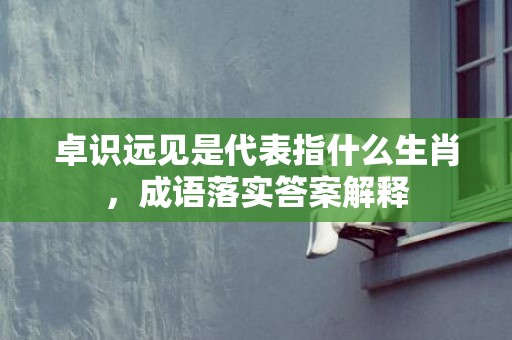 卓识远见是代表指什么生肖，成语落实答案解释