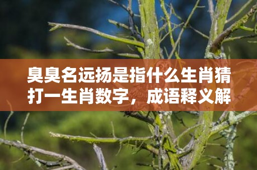 臭臭名远扬是指什么生肖猜打一生肖数字，成语释义解释落实