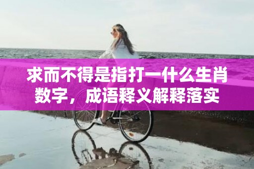 求而不得是指打一什么生肖数字，成语释义解释落实