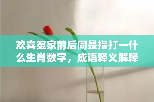 欢喜冤家前后同是指打一什么生肖数字，成语释义解释落实