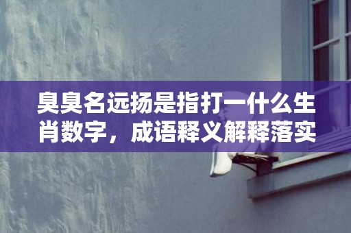 臭臭名远扬是指打一什么生肖数字，成语释义解释落实