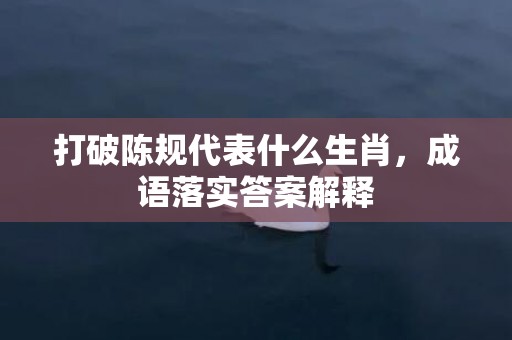 打破陈规代表什么生肖，成语落实答案解释