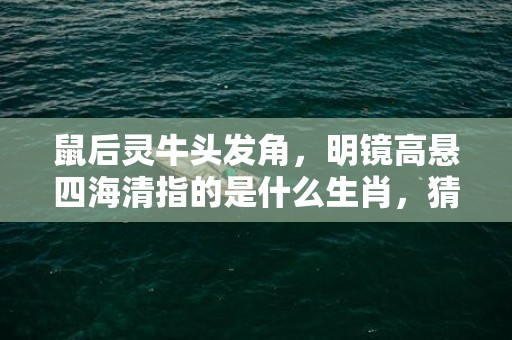 鼠后灵牛头发角，明镜高悬四海清指的是什么生肖，猜打一生肖数字成语 科学解答