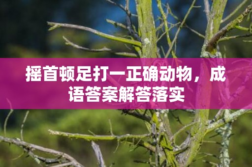 摇首顿足打一正确动物，成语答案解答落实