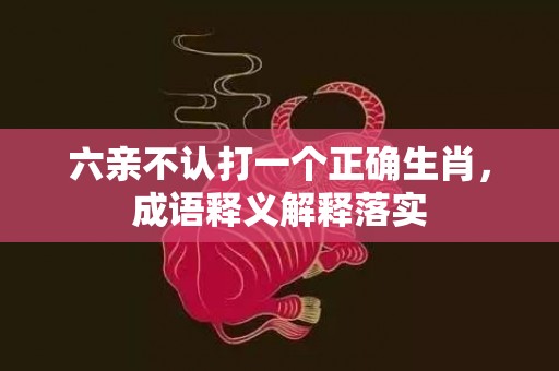 六亲不认打一个正确生肖，成语释义解释落实插图