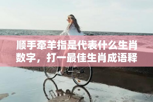 顺手牵羊指是代表什么生肖数字，打一最佳生肖成语释义解释落实插图